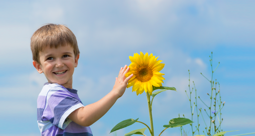 Free sunflower seeds for every child - Otter Garden Centres