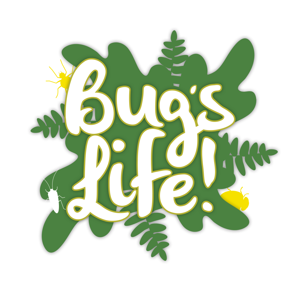 Bug-tastic Explorers: Unraveling the Wonders of Bugs! - Otter Garden ...